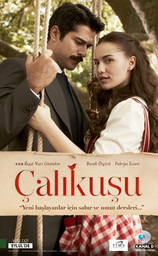 Çalıkuşu