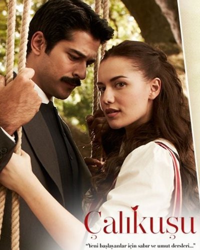 Çalıkuşu