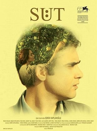Süt